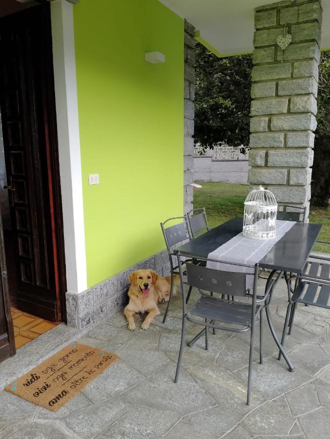 Il Faggio *
